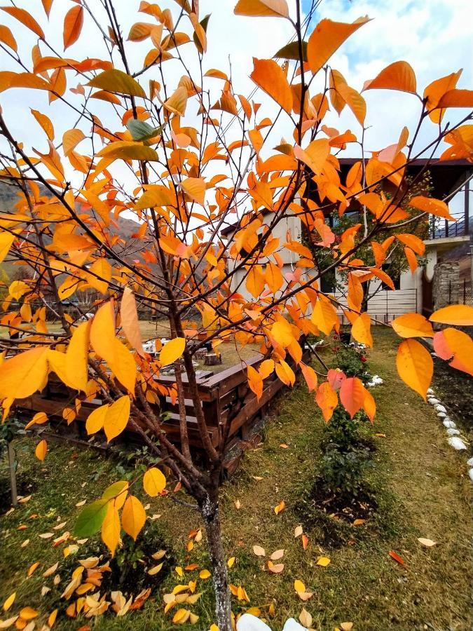 ---Allegria House--- Kazbegi Bagian luar foto