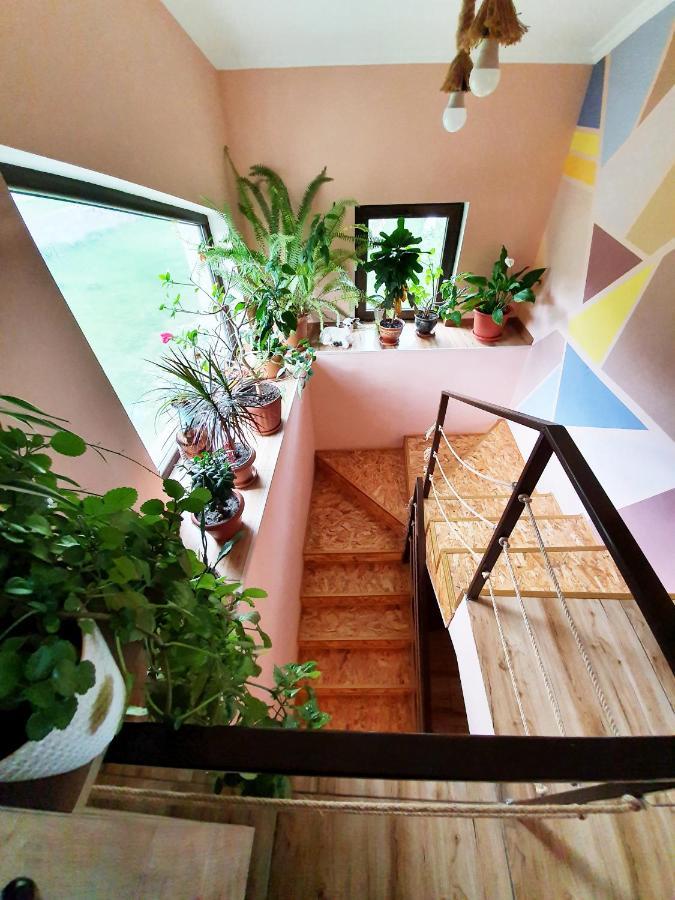 ---Allegria House--- Kazbegi Bagian luar foto