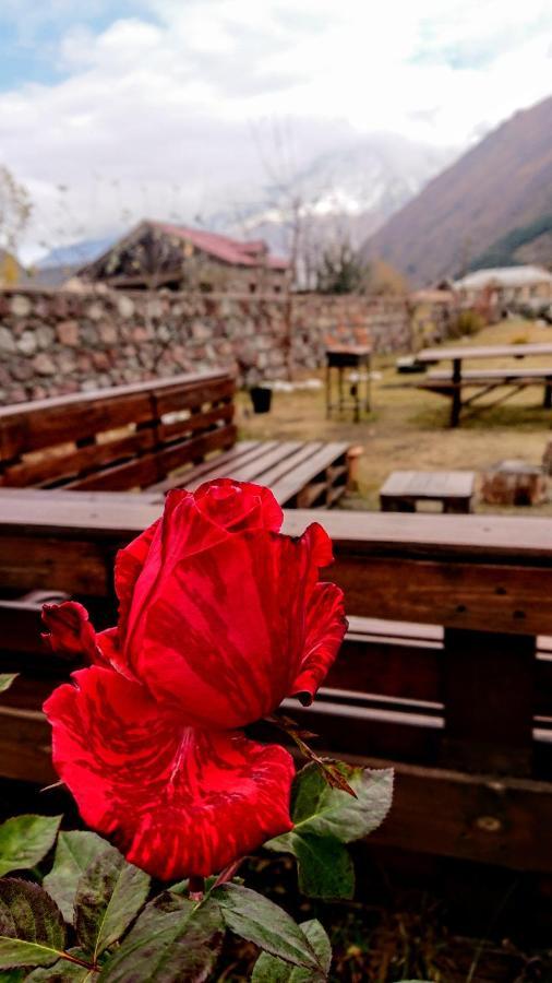 ---Allegria House--- Kazbegi Bagian luar foto