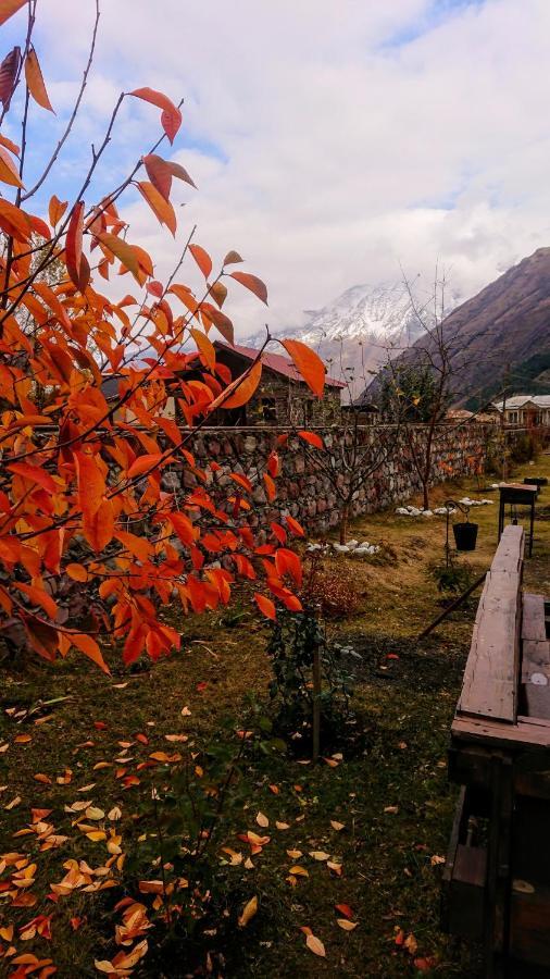 ---Allegria House--- Kazbegi Bagian luar foto
