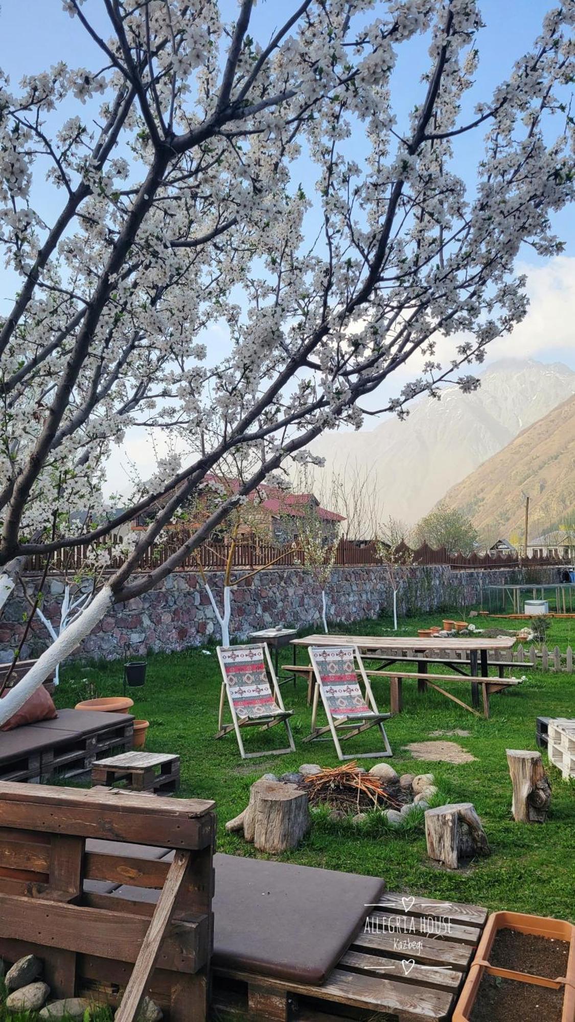 ---Allegria House--- Kazbegi Bagian luar foto