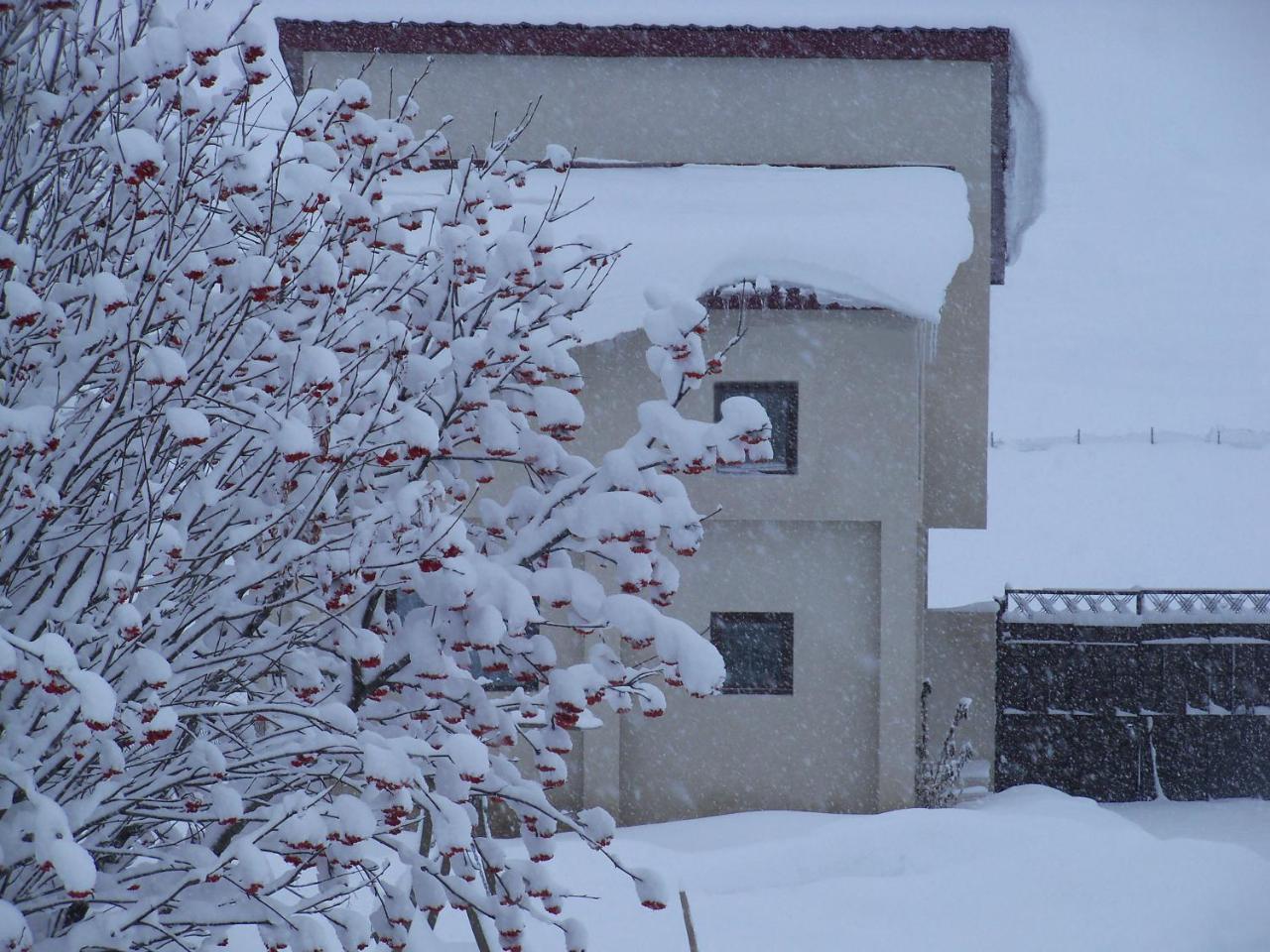 ---Allegria House--- Kazbegi Bagian luar foto